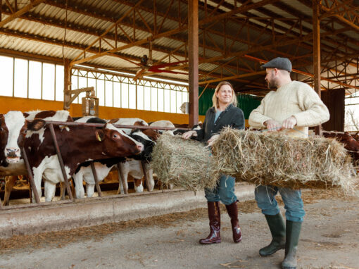 IHT Threshold Rises to £2.5m